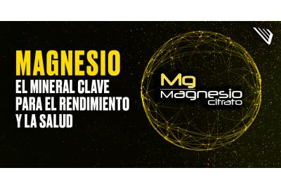 MAGNESIO: EL MINERAL CLAVE PARA EL RENDIMIENTO Y LA SALUD